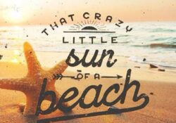 funny family vacation quotes and sayings