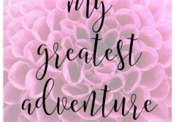 adventure love quotes quotes