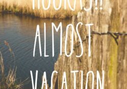 funny quotes family vacation quotes