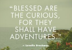 safe road trip quotes