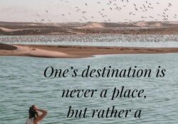 road trip with bae quotes