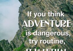 natural life travel quotes