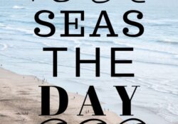 funny quotes about packing for vacation