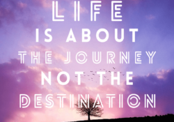 quotes about adventure and travel quotes