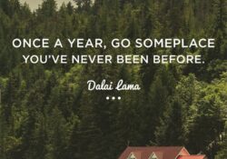 to travel with you quotes