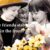 travel memories quotes korean